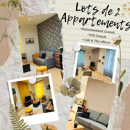 Appartements A Theme Clermont-Ferrand Buitenkant foto